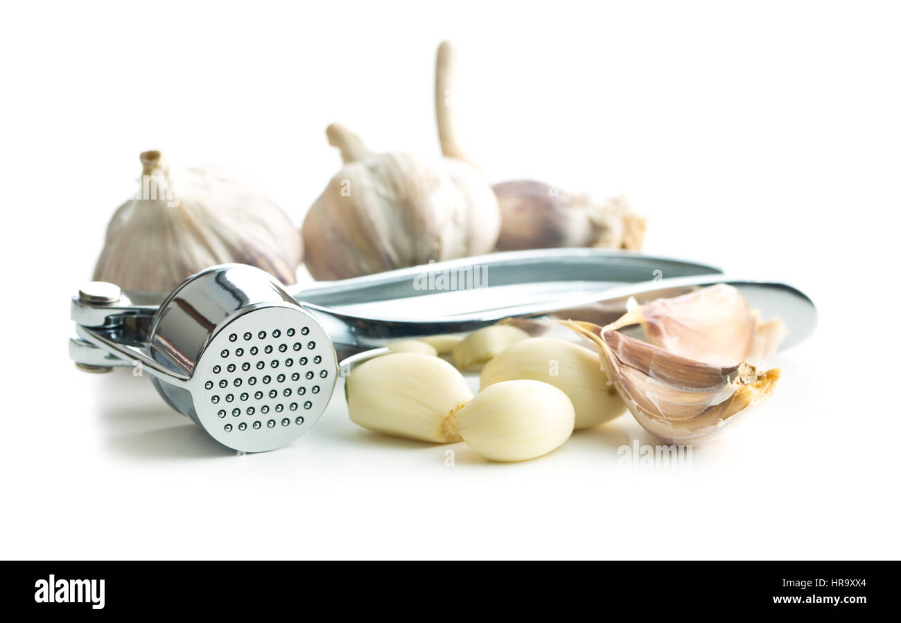 Garlic and garlic press isolated on white background. Stock Photo