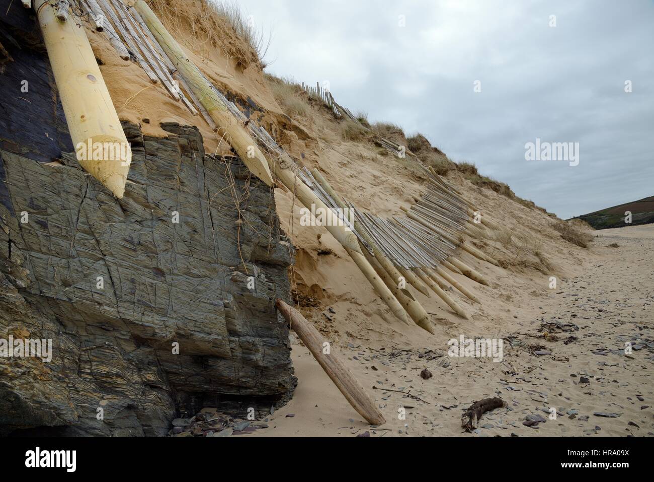 Sand dunes heavily eroded and protective fence left suspended by winter storms and tidal surges, Daymer Bay, Trebetherick, Cornwall, UK, March 2014. Stock Photo