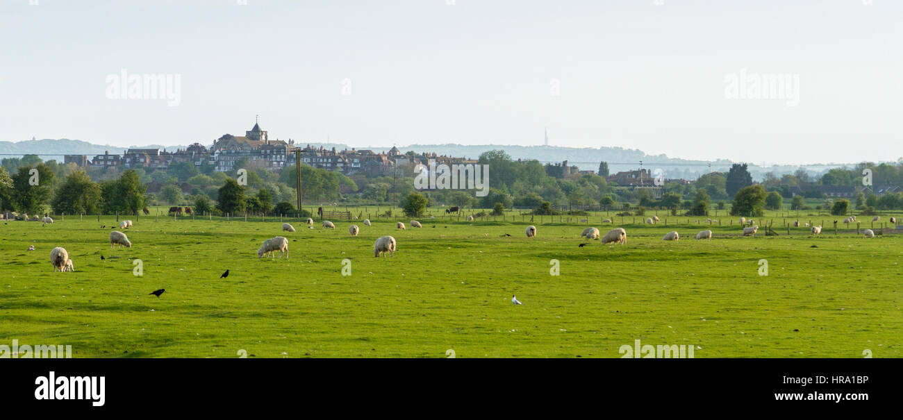 Sussex landscape panoramic hi-res stock photography and images - Alamy