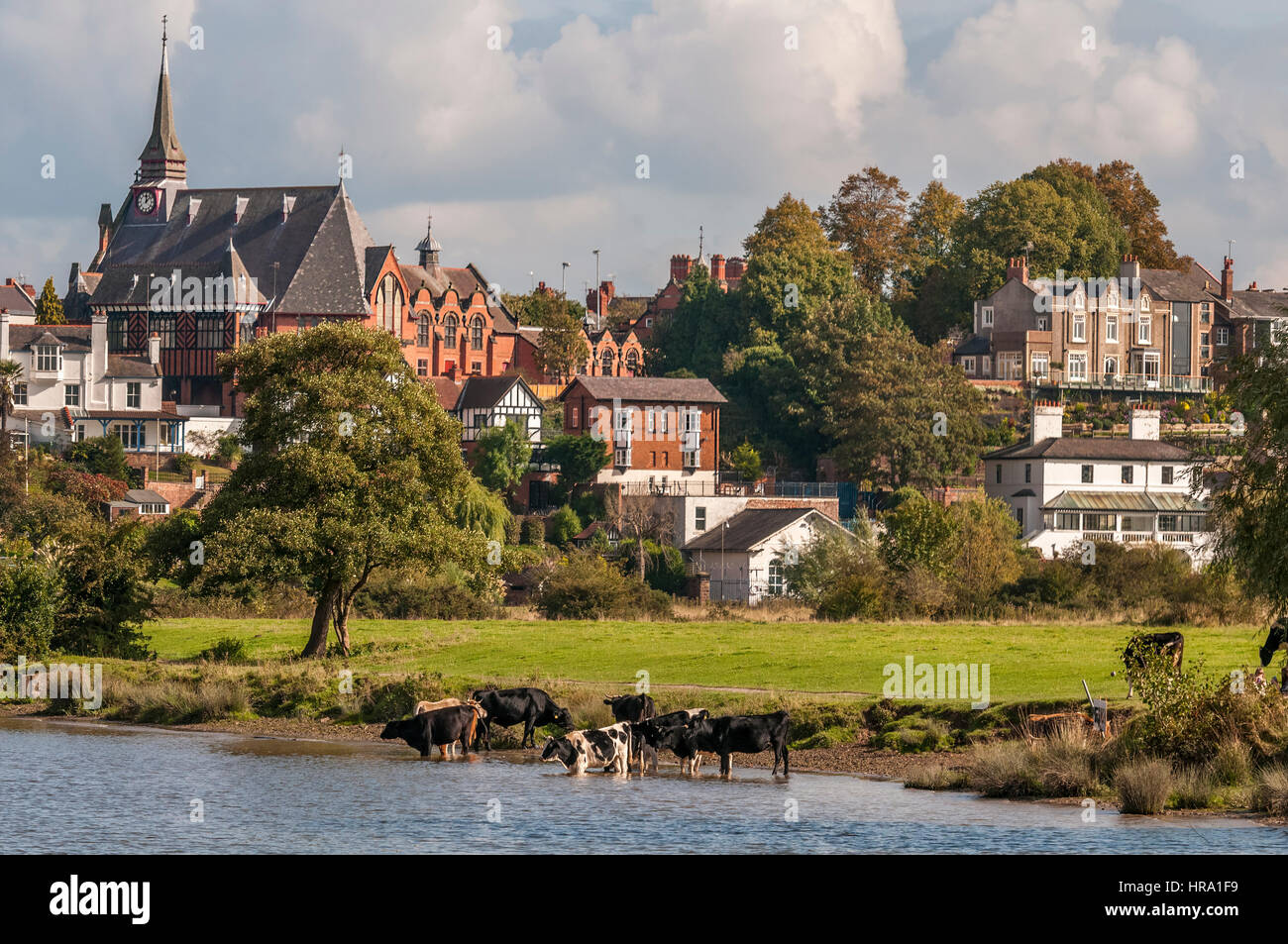 The meadows chester hires stock photography and images Alamy