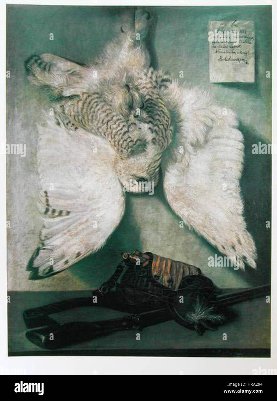 Purkyne, Karel - Sova snezna Stock Photo