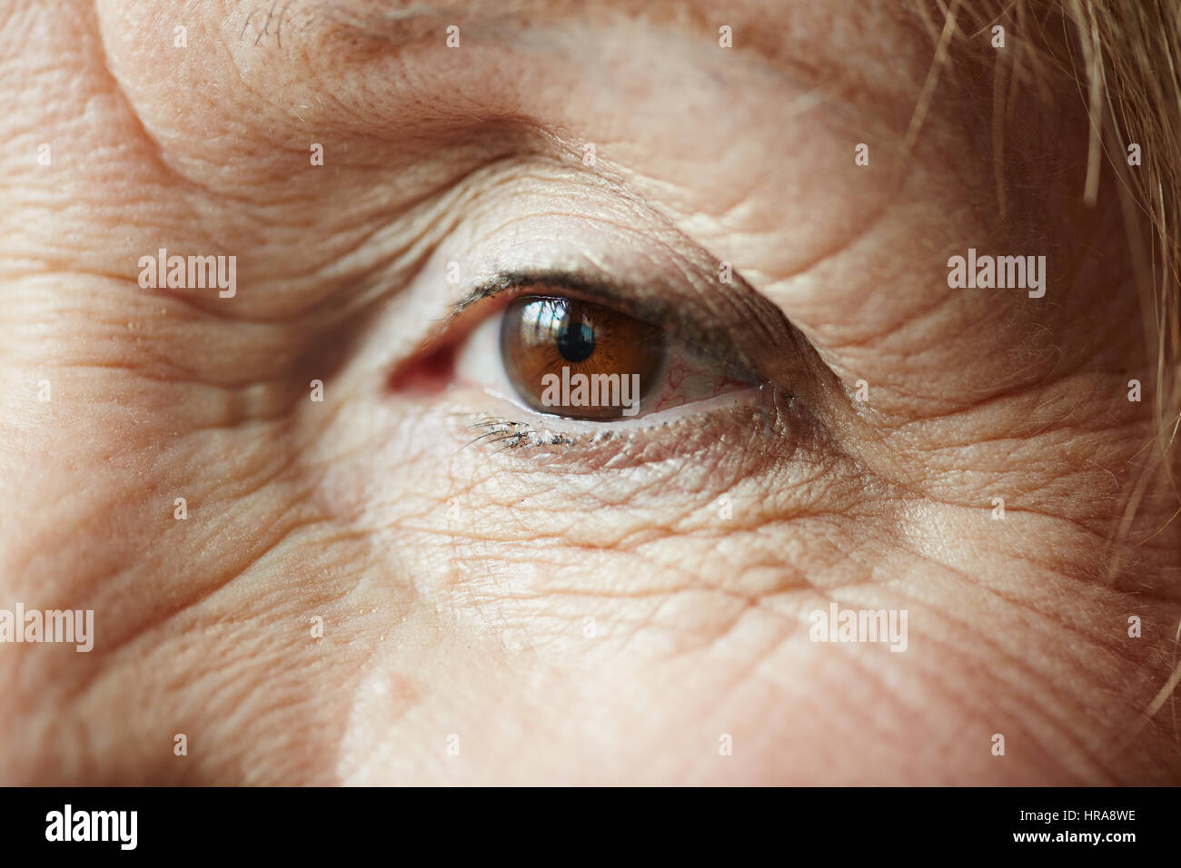 Extreme close up shot hi-res stock photography and images - Alamy