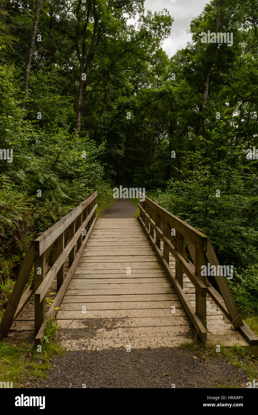 New Wooden Bridge Leading Through Shot, Comrie Stock Photo - Alamy