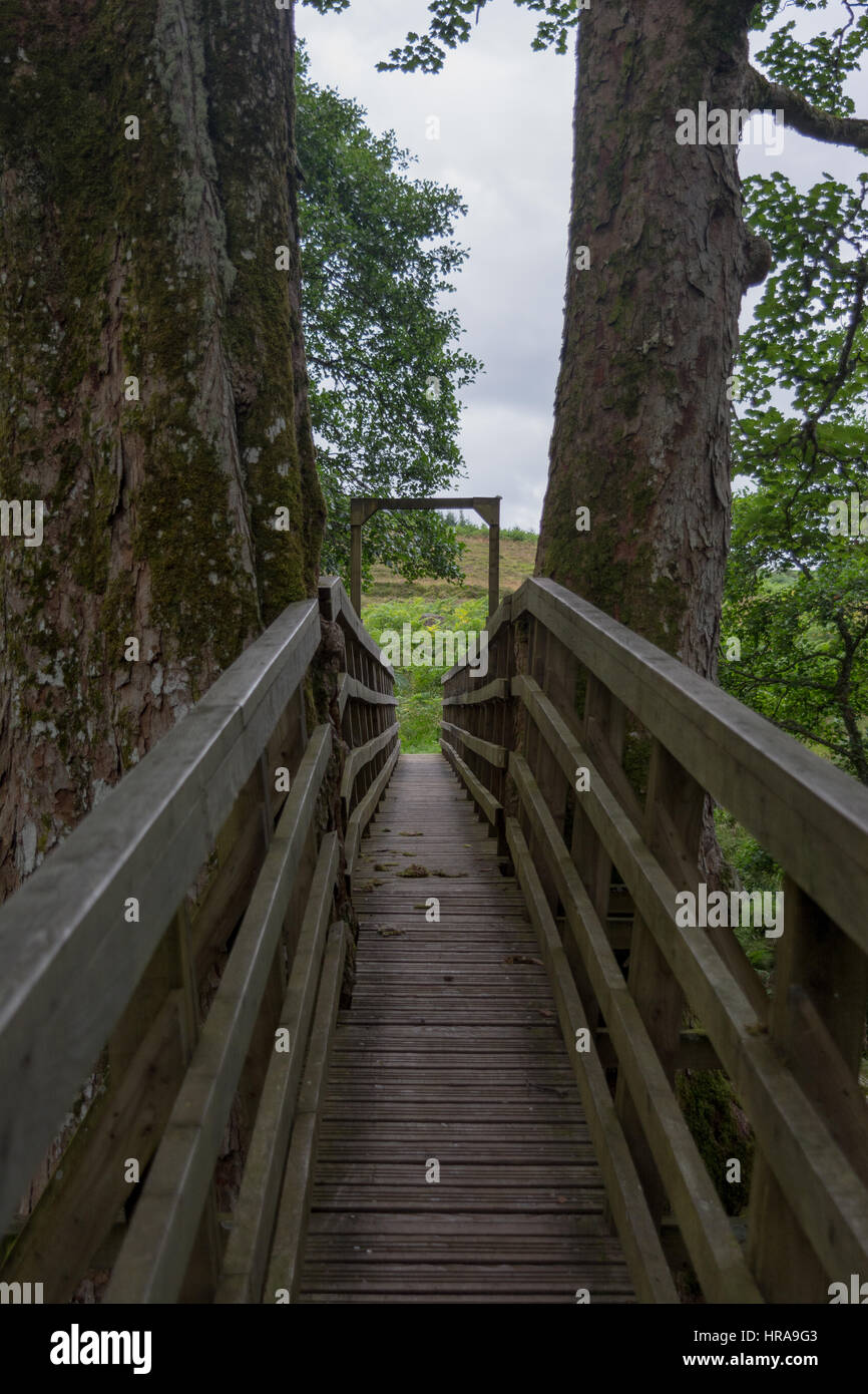 Crossing Bridge, Comrie Stock Photo - Alamy