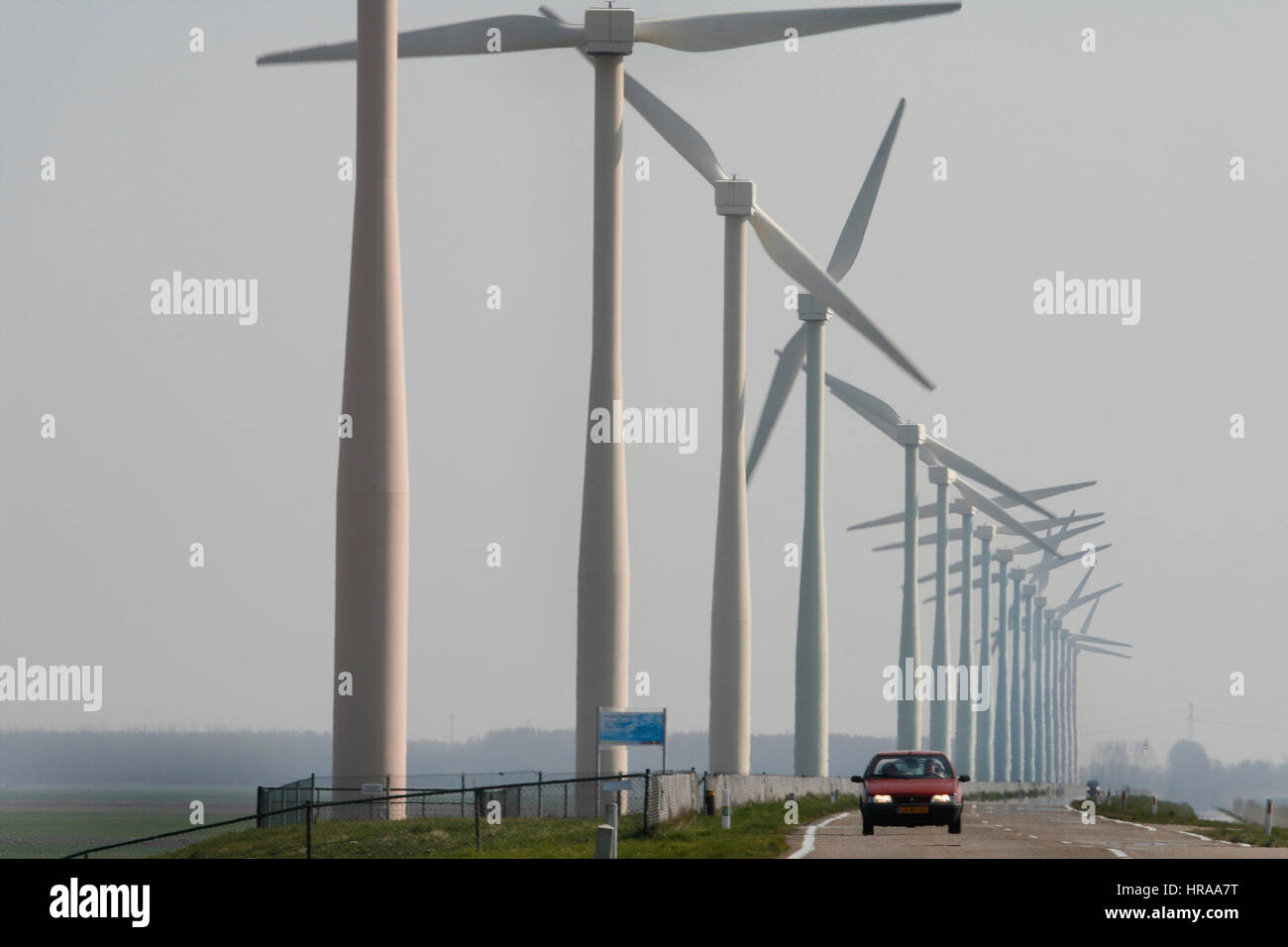 Windmills in Holland Stock Photo