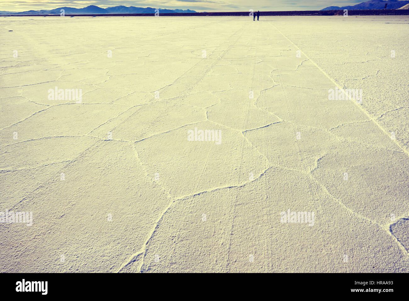 Salinas Grandes in  a salt desert in the Jujuy Province, Argentina, Andes Stock Photo