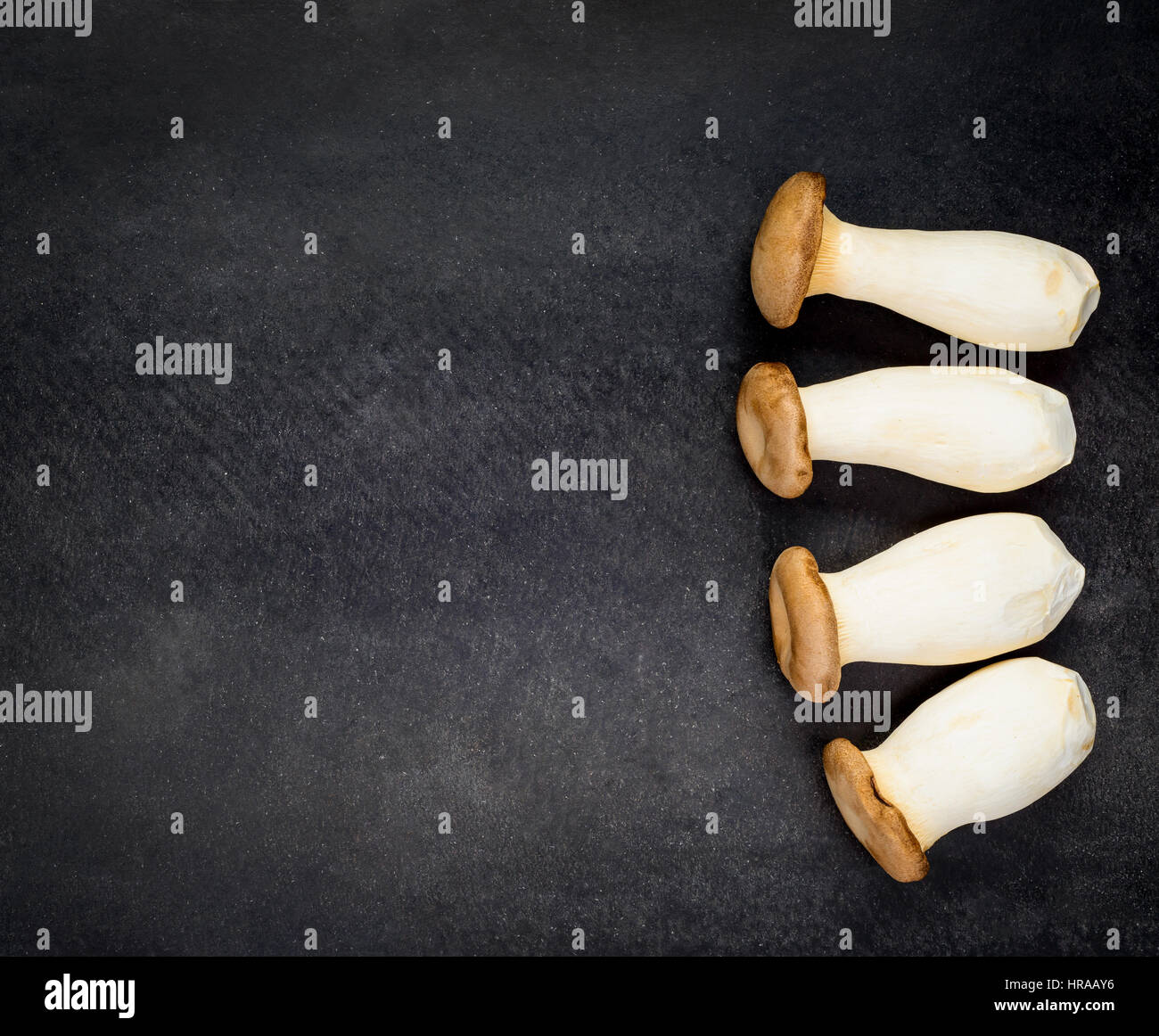 Copy Space Text Area of Eryngii Edible Mushrooms in Top View on Dark