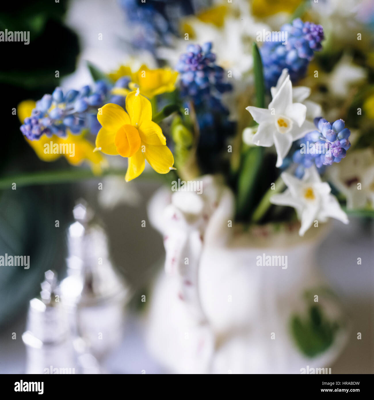 Daffodils in a vase Stock Photo - Alamy