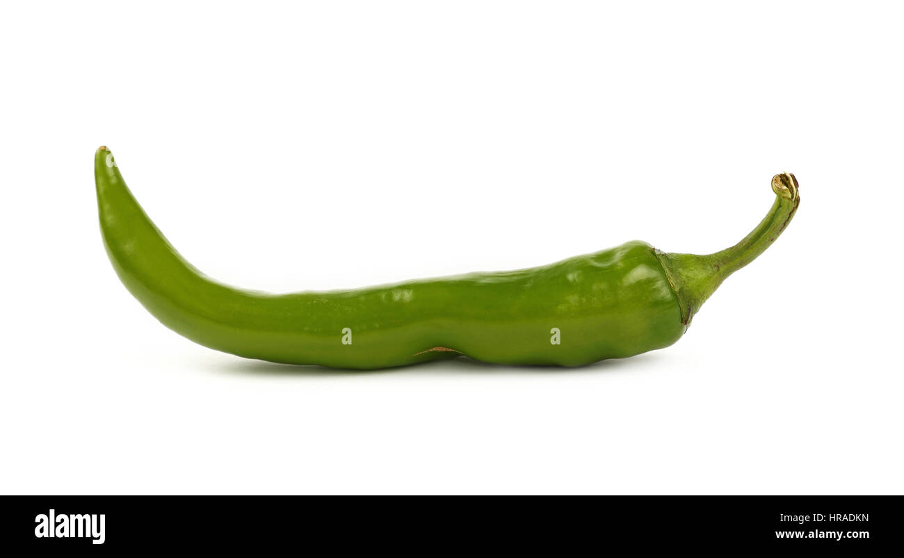 One fresh green jalapeno chili pepper isolated on white background