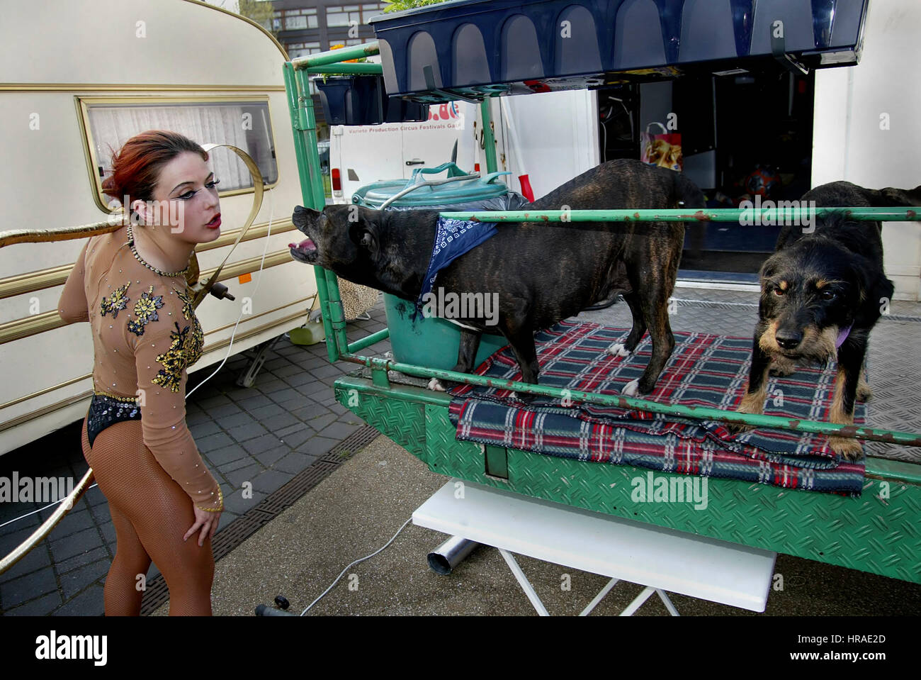 Small dutch circus without animals Stock Photo - Alamy