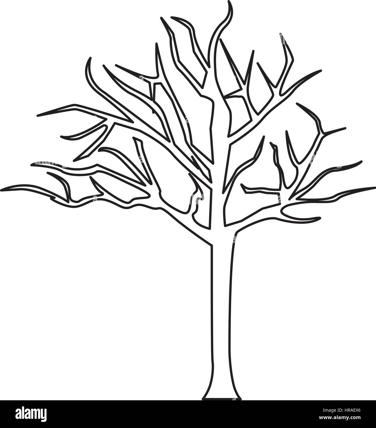 Tree without branches stock photos tree without branches stock images