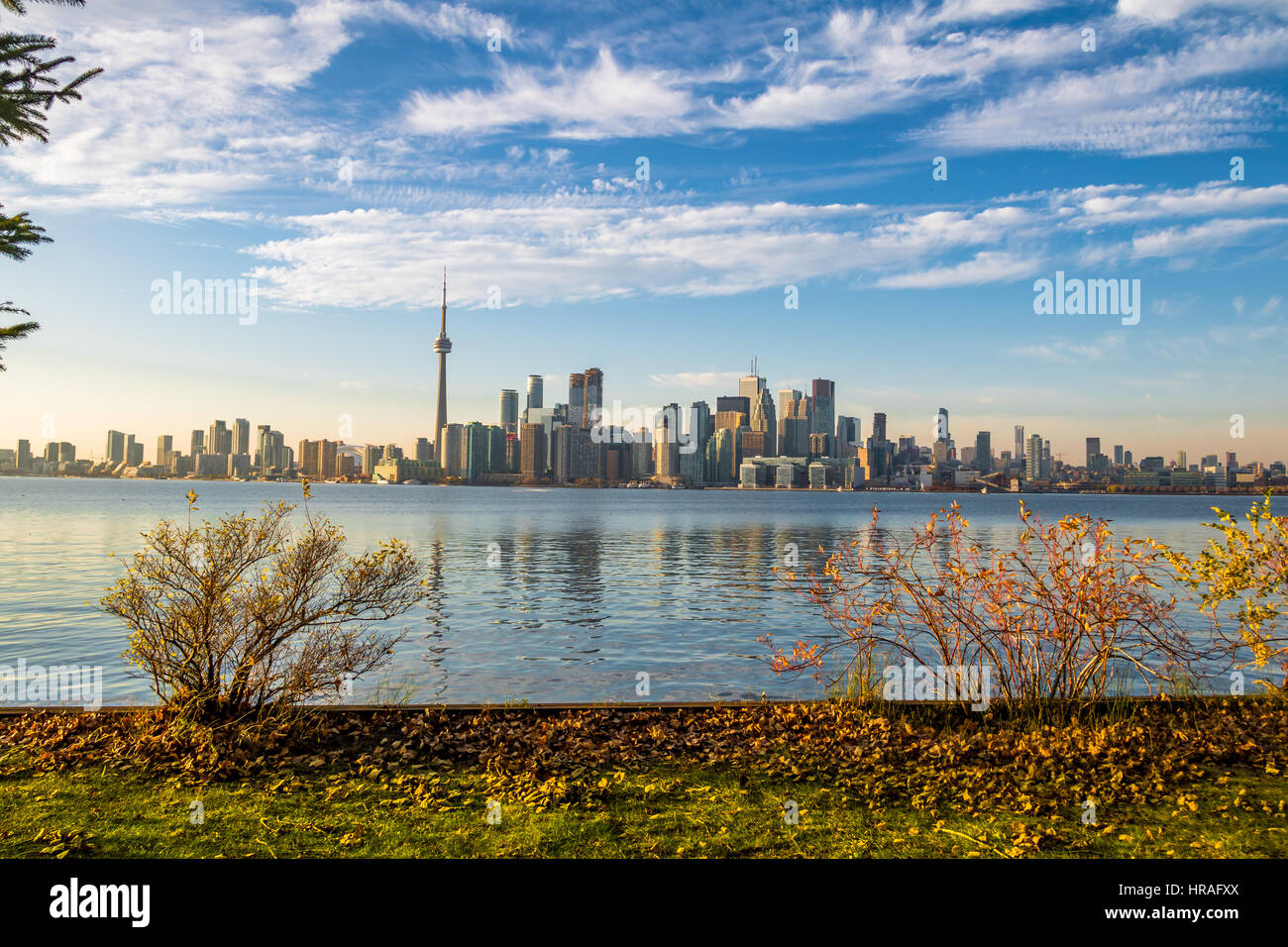 Toronto Skyline with autumn vegetation - Toronto, Ontario, Canada Stock Photo