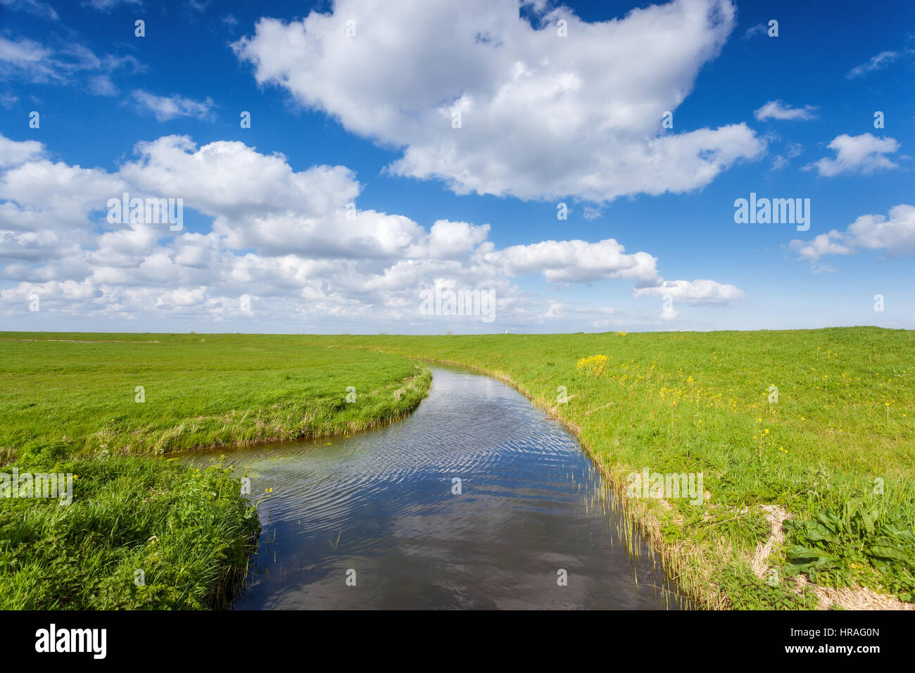 Beautiful landscape with green grass field, pond and bright blue sky with clouds reflected in water at sunset in spring. Colorful nature background. Stock Photo