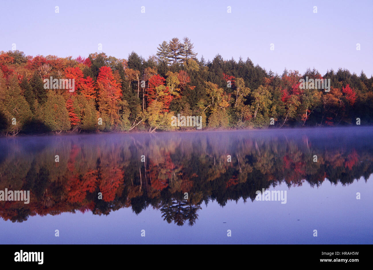 New england trees hi-res stock photography and images - Alamy