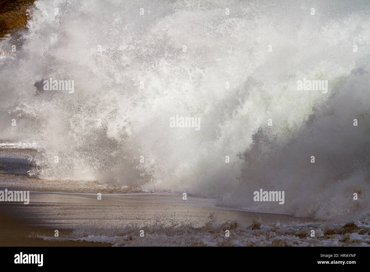 Cornwall, UK. 28th Feb, 2017. UK Weather. A thrill seeking surfer gets swallowed up by a giant wave while trying to enter the water to surf waves generated by Storm Ewan. Massive waves up to twenty feet pummelled the Cornish coast over the last two days. Credit: Mike Newman/Alamy Live News Stock Photo