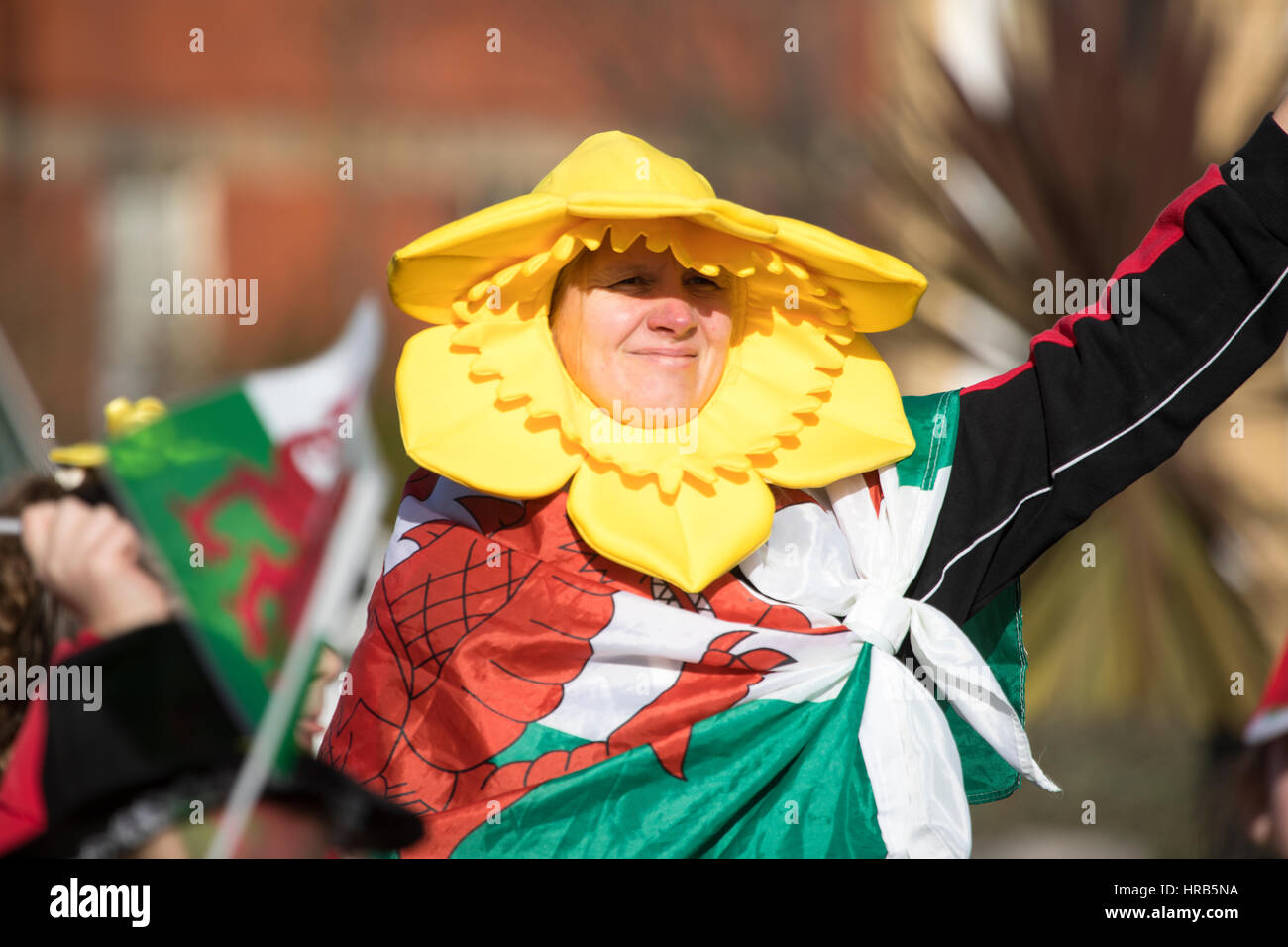 Welsh rugby daffodil best sale hats