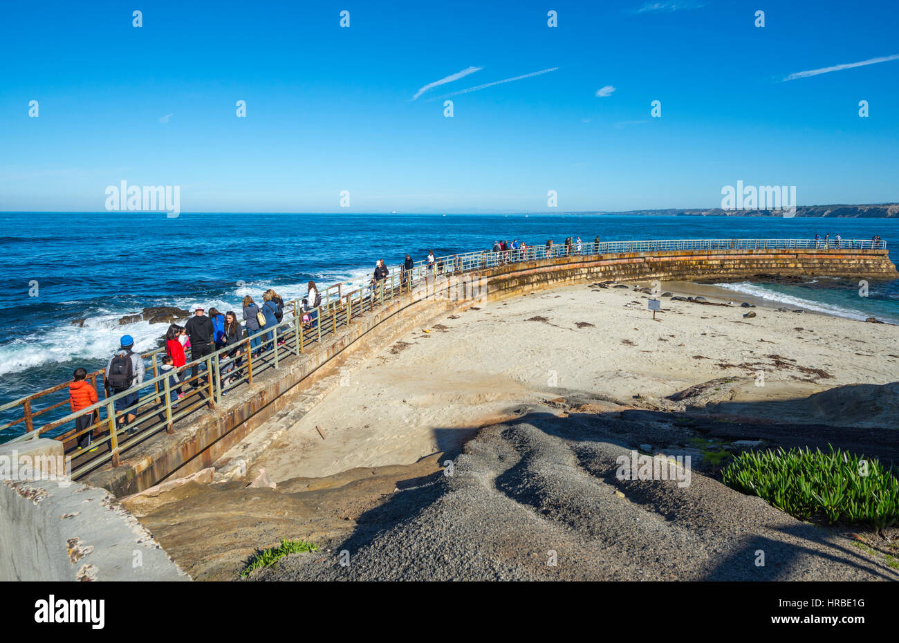 Children's Pool La Jolla