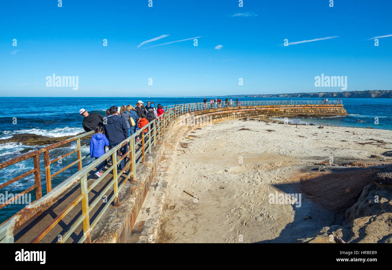 USA, California, San Diego, a group of seals sunbathing at Children's Pool  Beach in La Jolla Stock Photo - Alamy