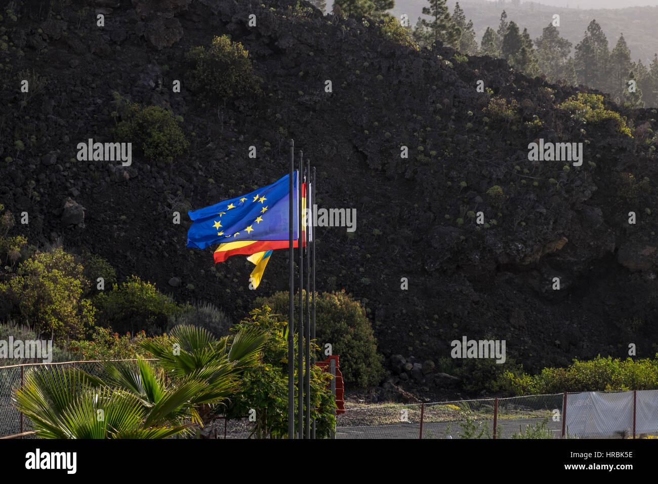 EU, european, Spanish and Canarian flags flying on flagpoles in Tenerife, Canary Islands, Spain Stock Photo