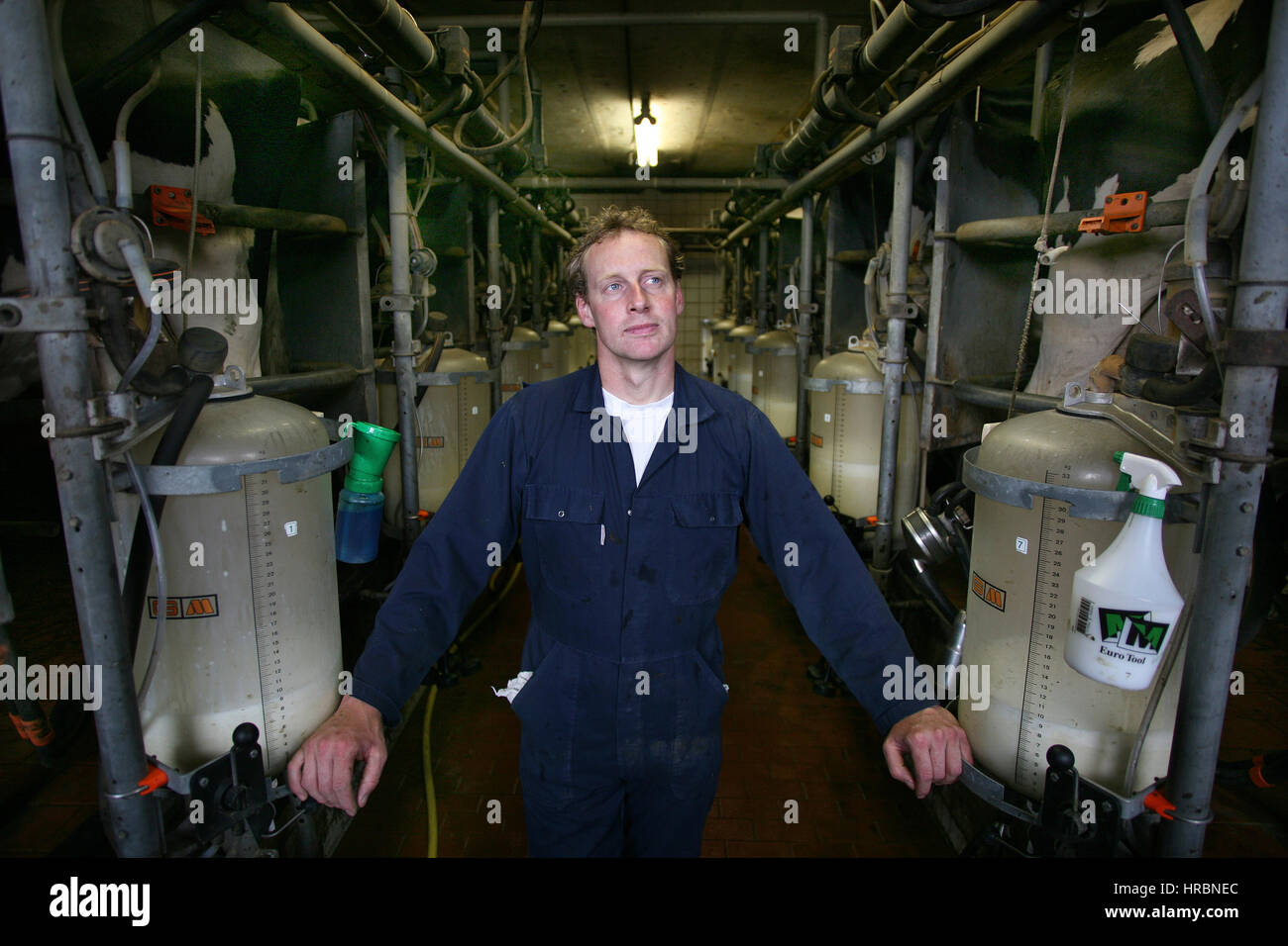 dairy farm in the netherlands Stock Photo Alamy