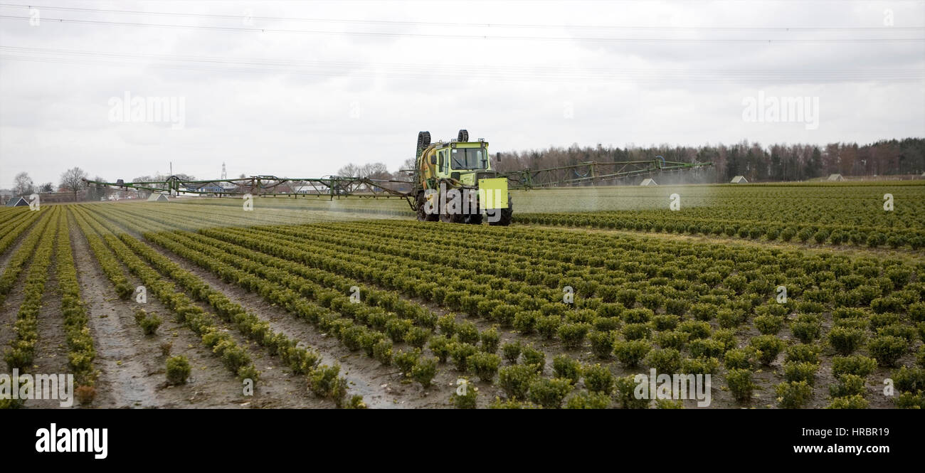 spraying of insecticide and fertilizers Stock Photo