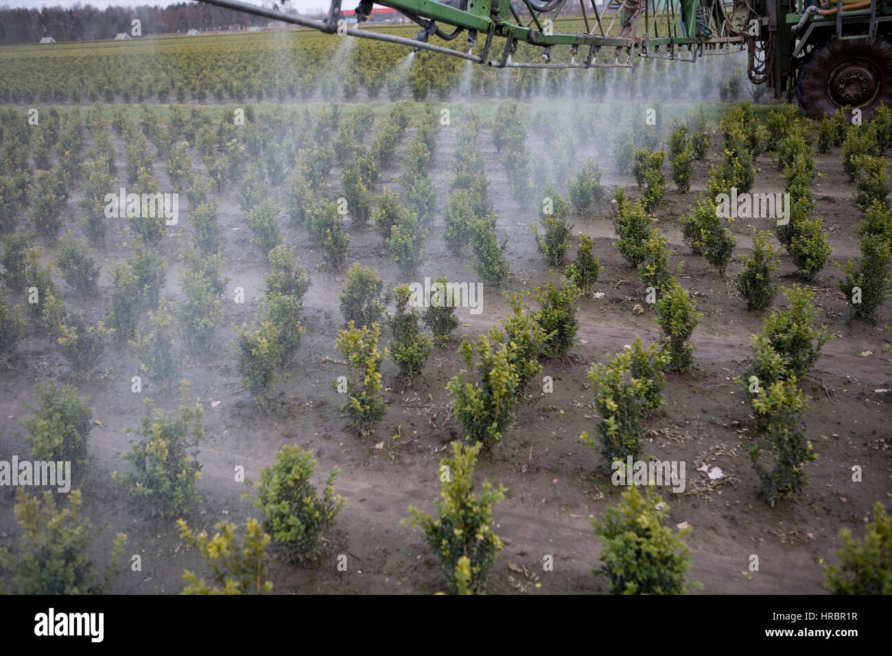 spraying of insecticide and fertilizers Stock Photo