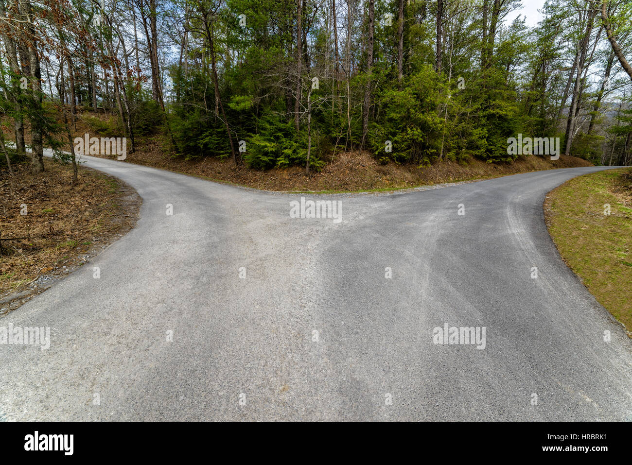 When you come to a fork in the road, take it! Stock Photo