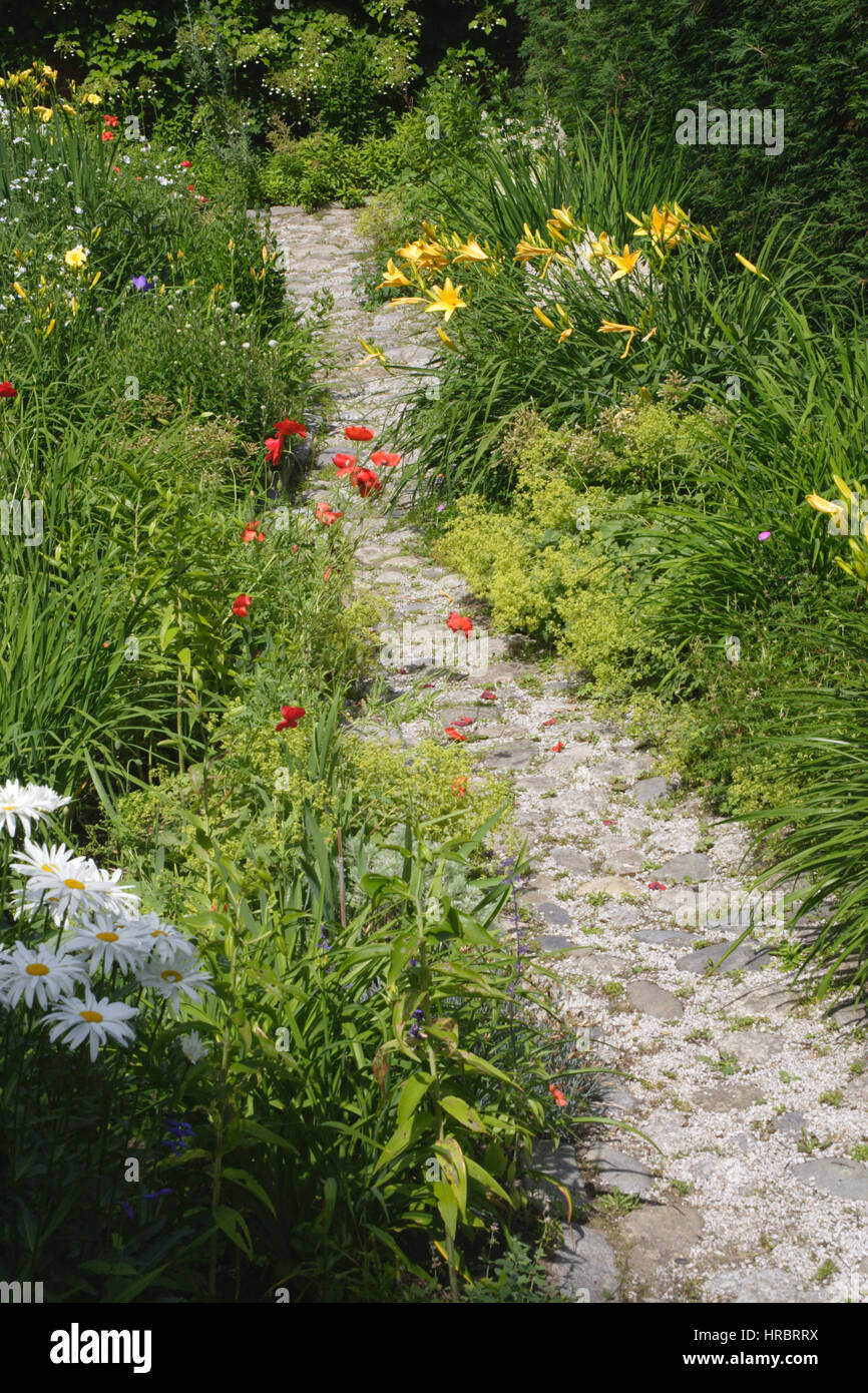 Garden path flowers daisies lilys poppies Castine Harbor Maine New England USA Stock Photo