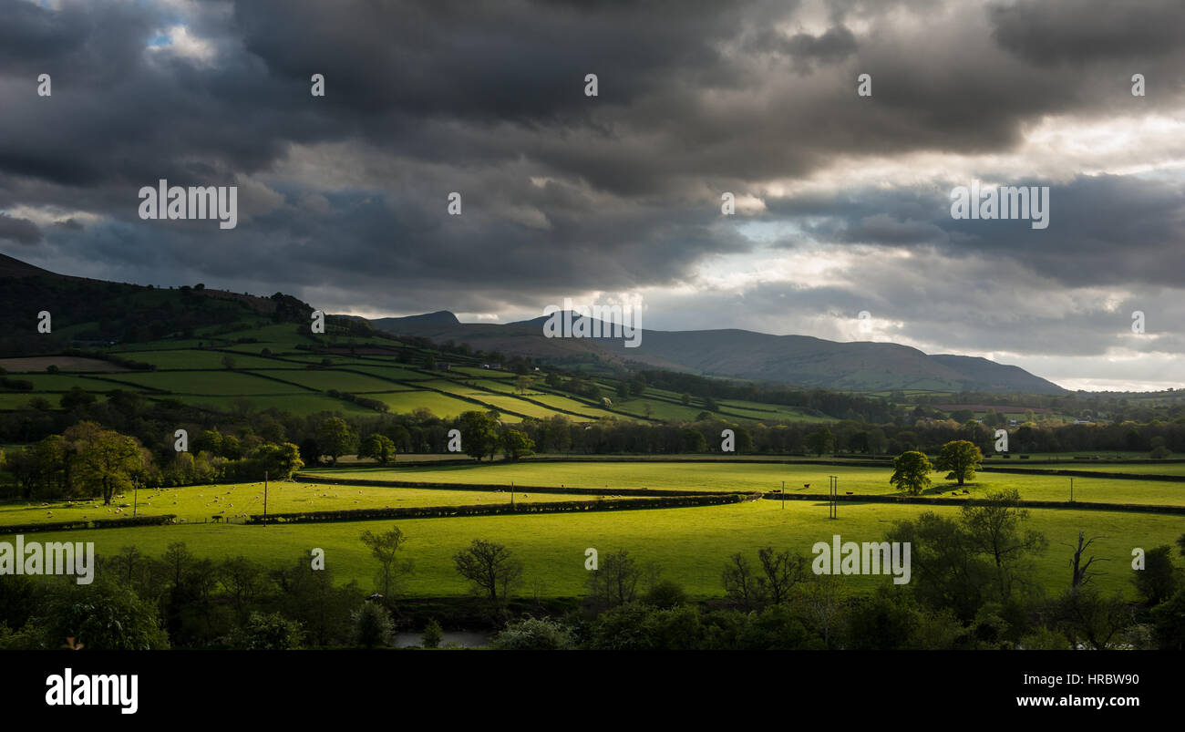Evening sunlight over Pen y Fan and the Brecon Beacons Mountains, Brecon Beacons National Park, Wales, UK Stock Photo