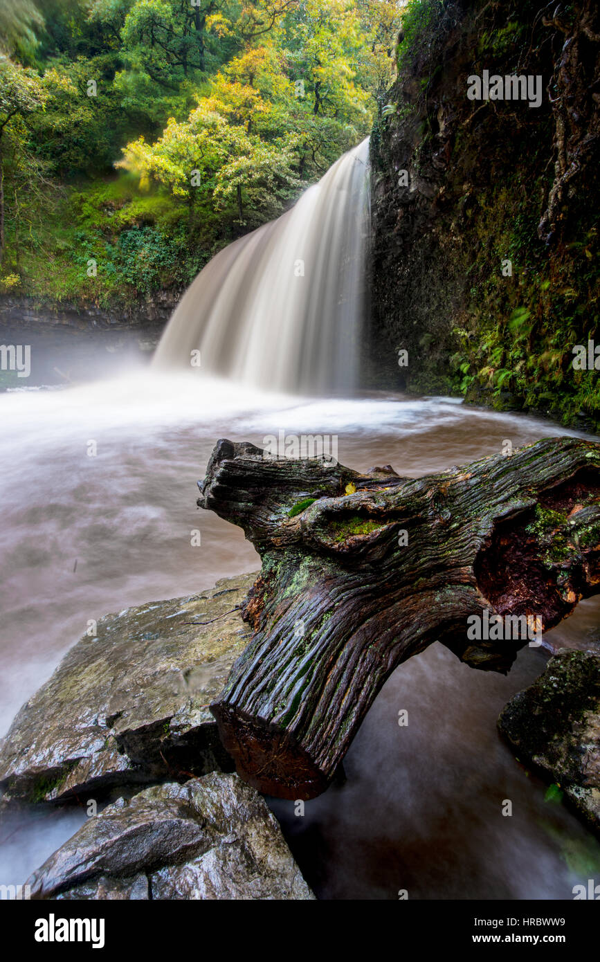 Sgwd Gwladys Waterfall in the Brecon Beacons, Brecon Beacons National Park, Wales Stock Photo