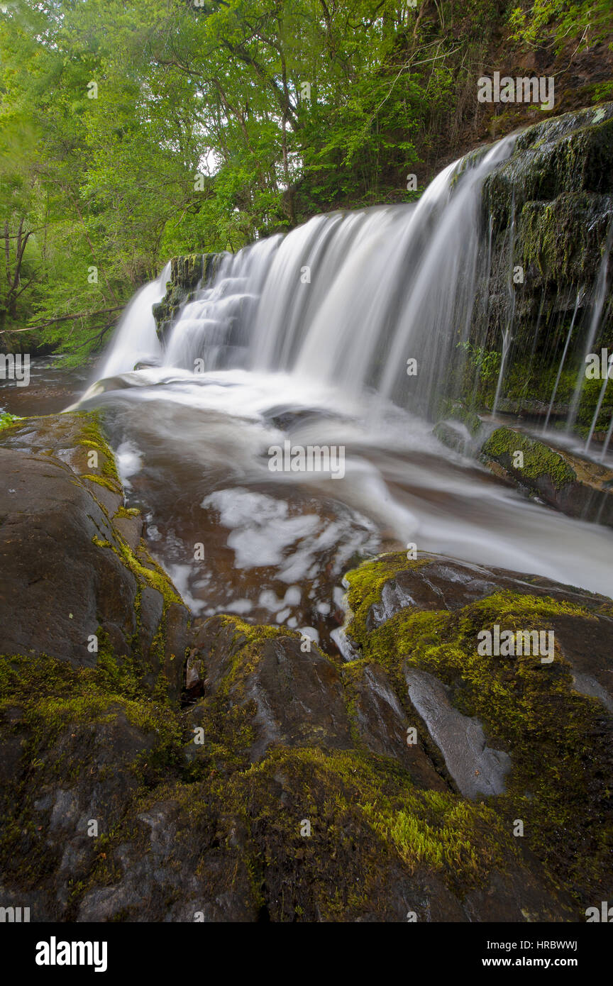 Sgwd yr Pannwr waterfall at Ystradfellte in the Brecon Beacons National Park. Wales, UK Stock Photo