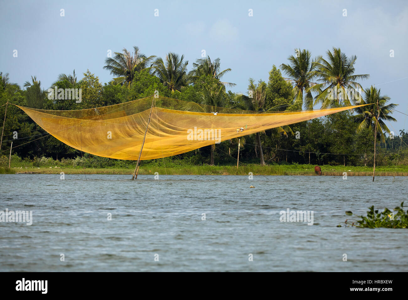 Fishing net, Thu Bon River, near Hoi An, Vietnam Stock Photo Alamy