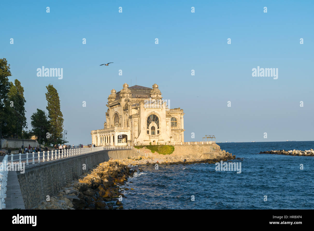 Lady casino romania