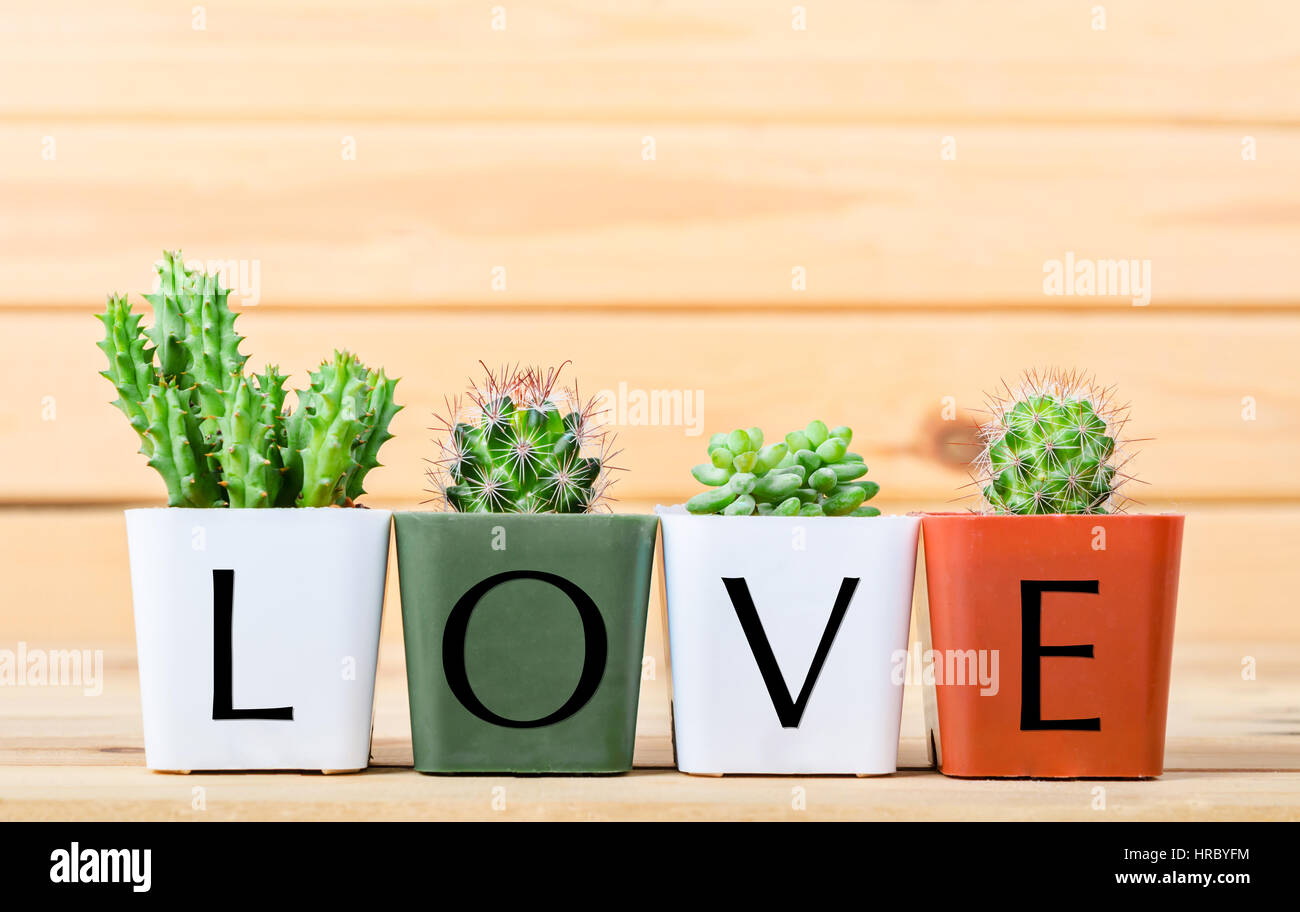 Mexican love plant hi-res stock photography and images - Alamy