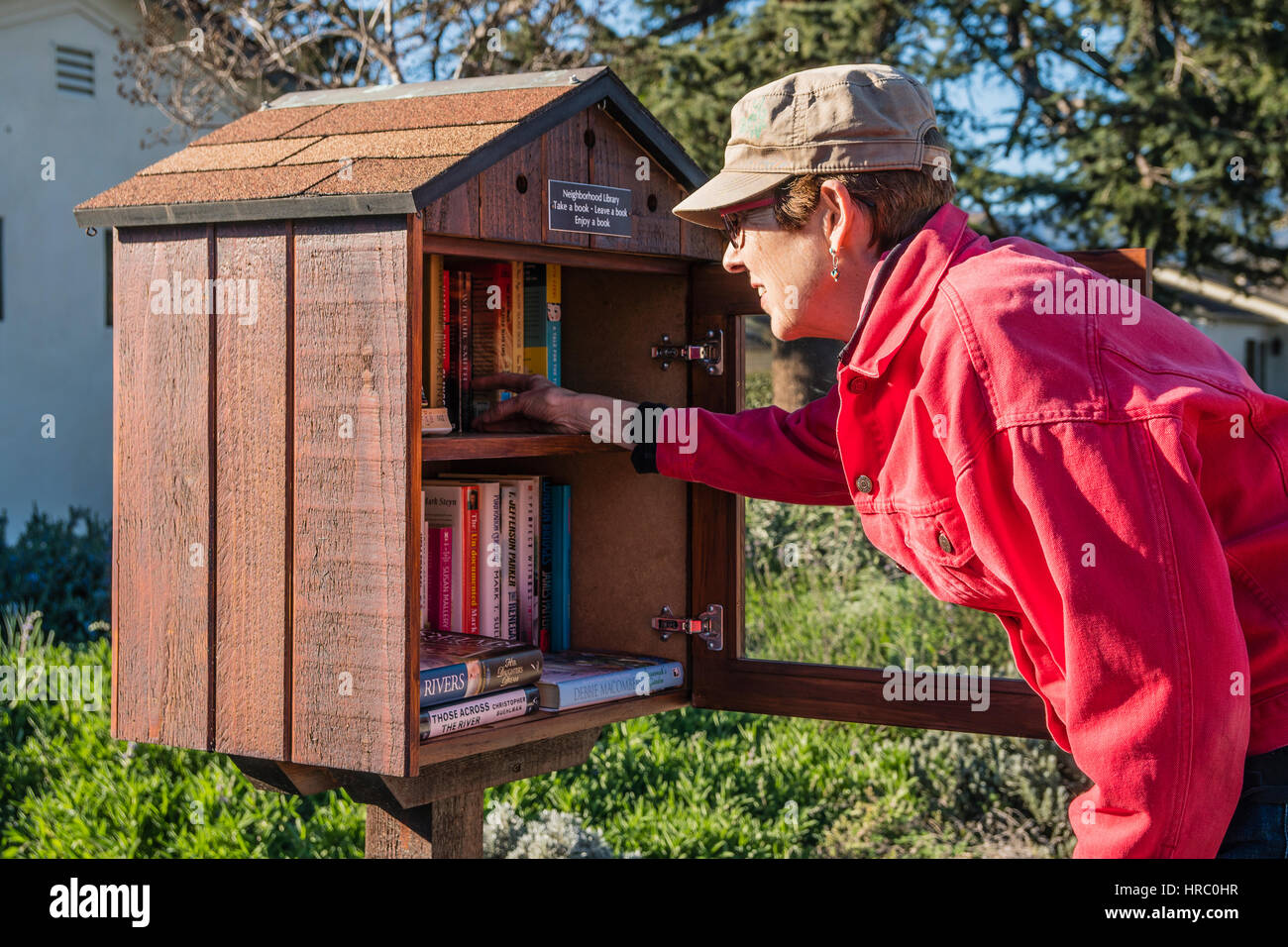 A woman browses through the selection of books at a little free library in her neighborhood. Stock Photo