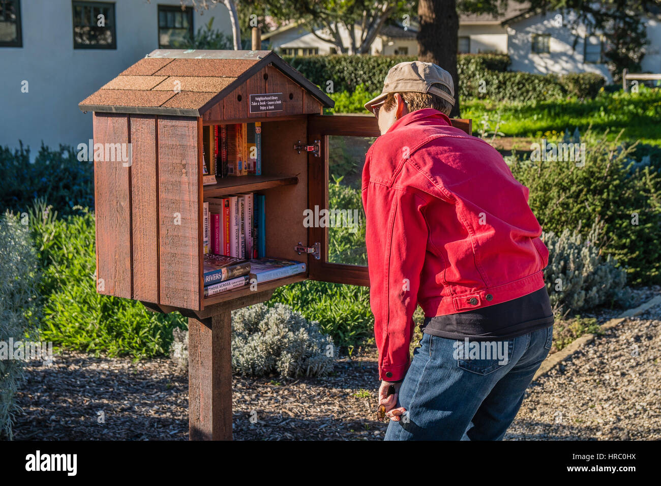 A woman browses through the selection of books at a little free library in her neighborhood. Stock Photo