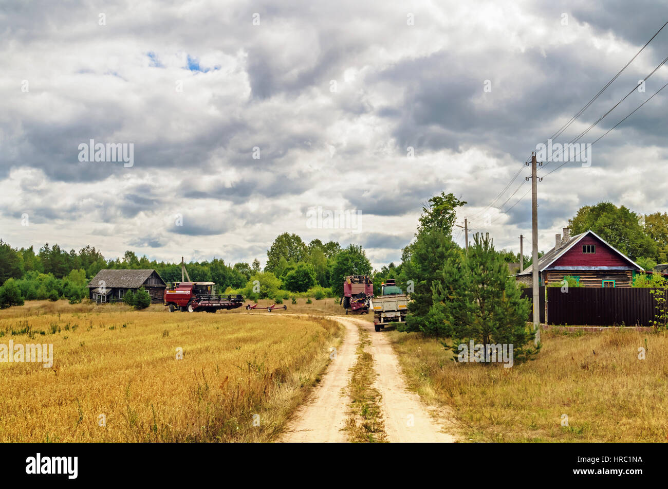 Cleaning agricultural field by harvester Stock Photo Alamy
