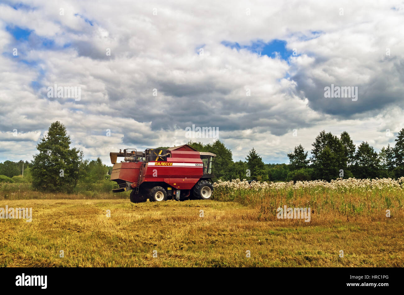 Cleaning agricultural field by harvester Stock Photo Alamy