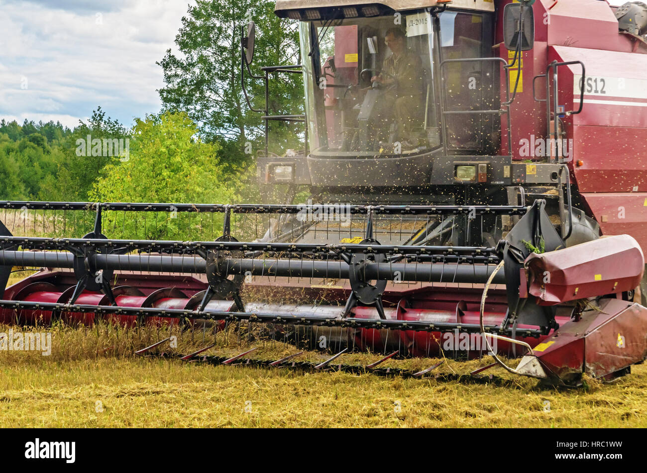 Cleaning agricultural field by harvester Stock Photo Alamy