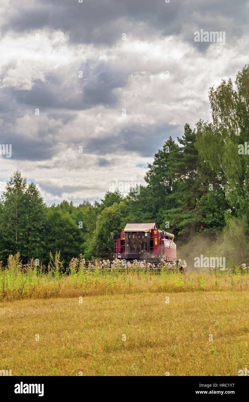 Cleaning agricultural field by harvester Stock Photo Alamy