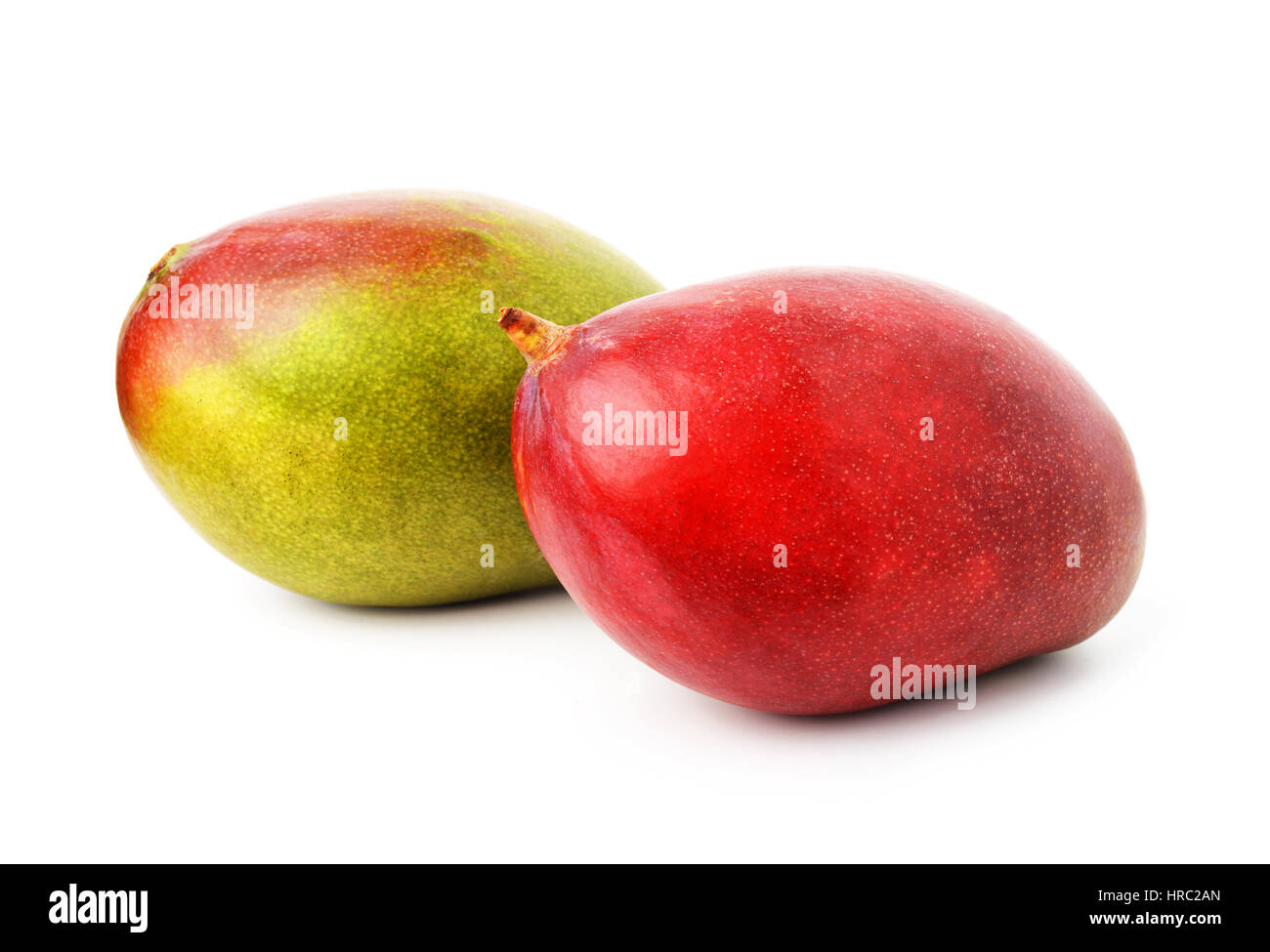 Fresh colorful tropical mangoes isolated on white background Stock