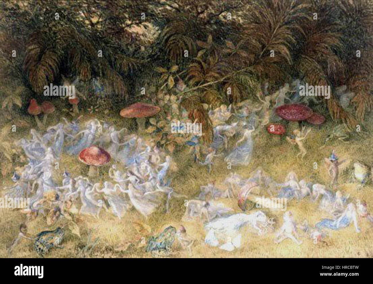 Richard Doyle Fairy Rings and Toadstools Stock Photo Alamy
