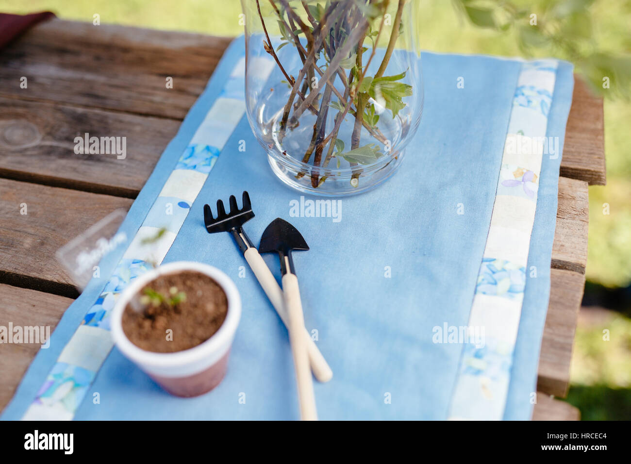 Gardening tools, watering can, seeds, plants and soil on vintage wooden table. Spring in the