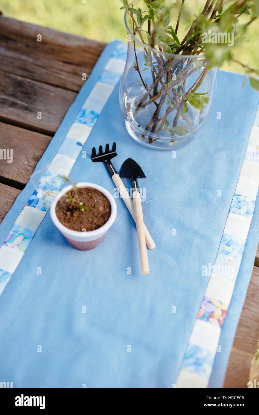 Gardening tools, watering can, seeds, plants and soil on vintage wooden table. Spring in the garden concept. Stock Photo