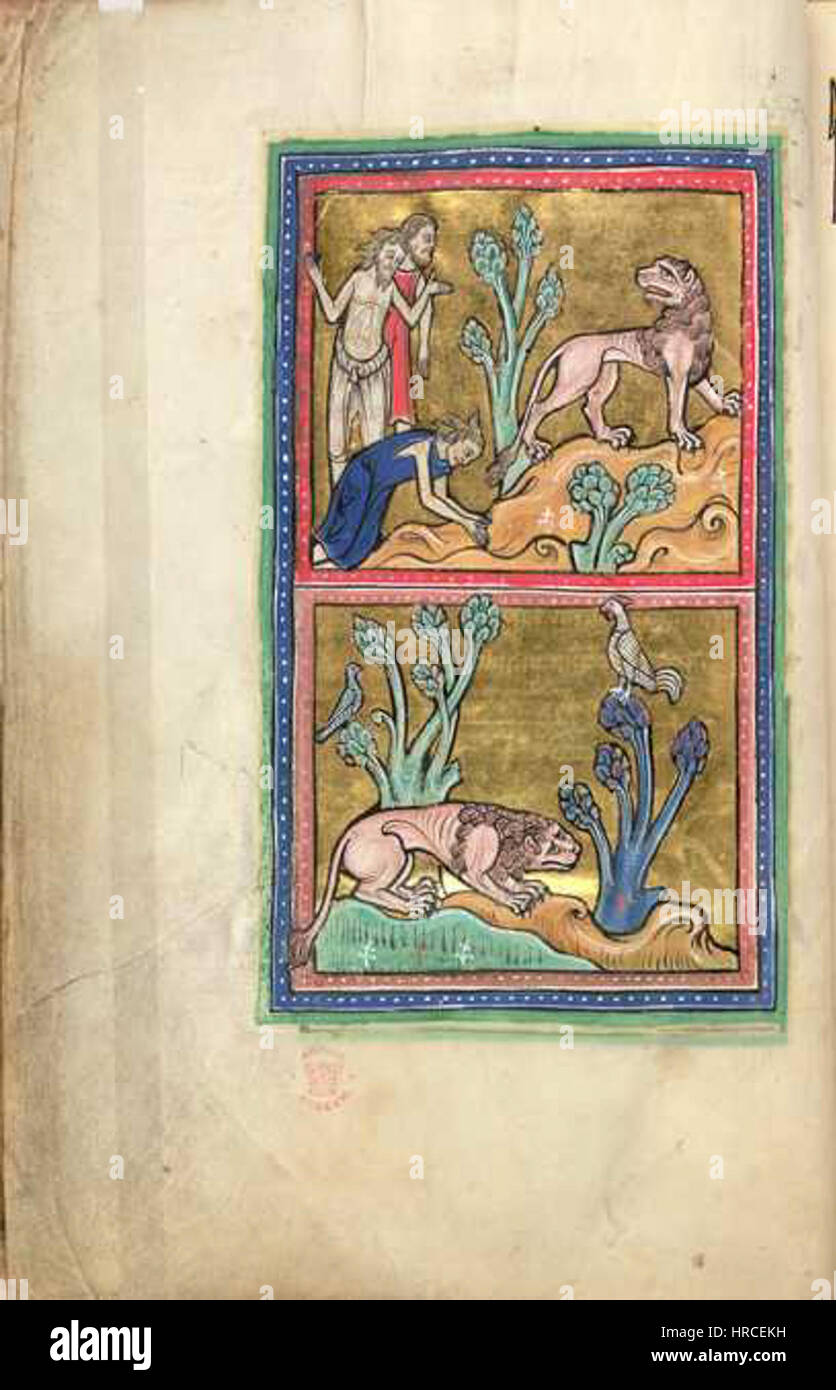 Medieval bestiary lion hi-res stock photography and images - Alamy