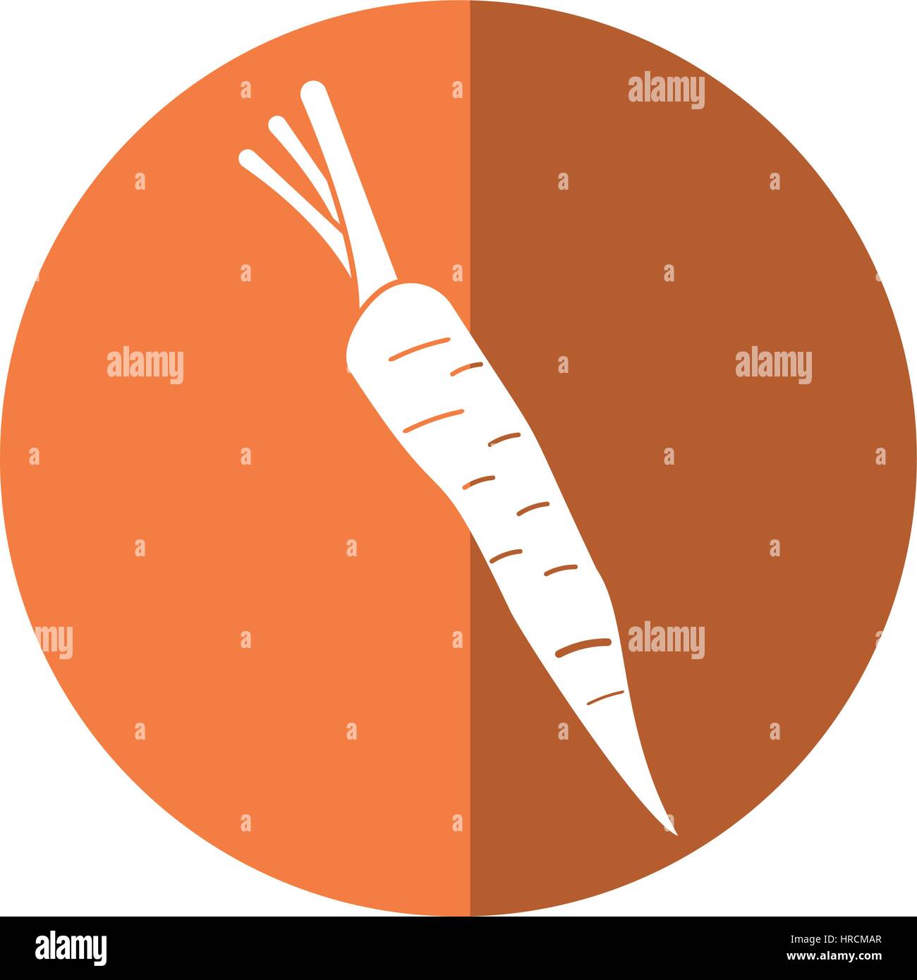 carrot vegetable nutrition shadow Stock Vector Image & Art Alamy
