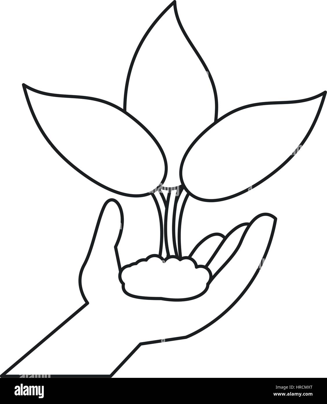 hand holding plant leaves thin line Stock Vector Image & Art - Alamy