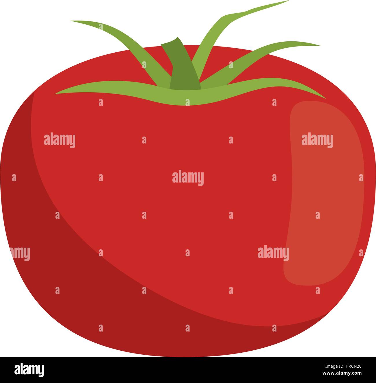 tomato vegetable healthy icon Stock Vector Image & Art - Alamy