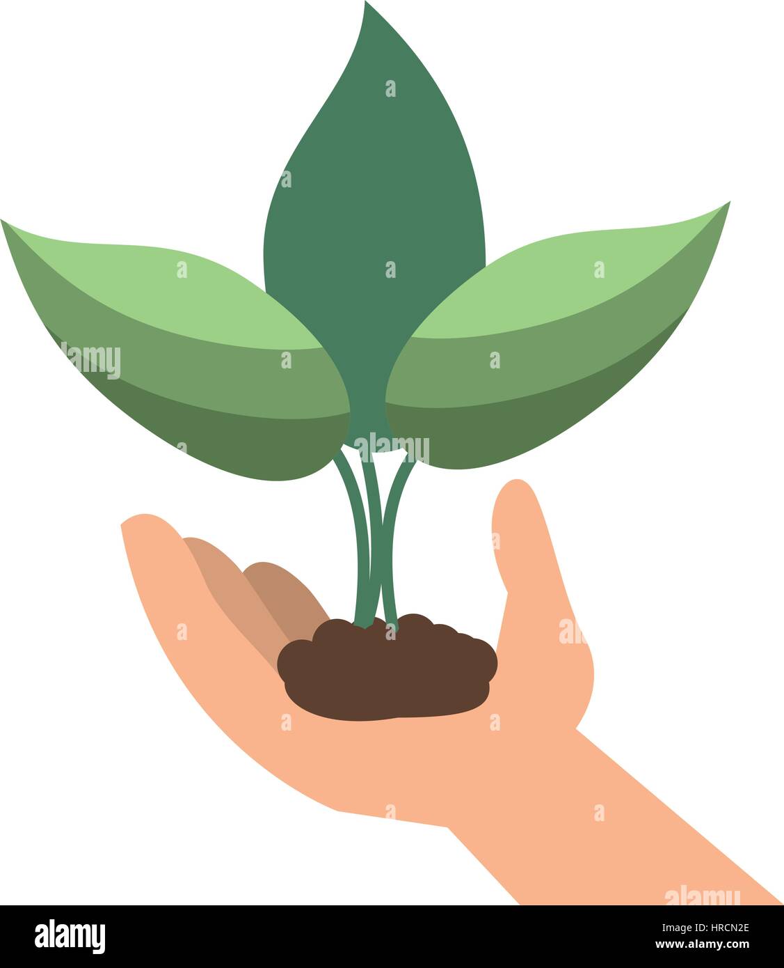 hand holding plant leaves Stock Vector Image & Art - Alamy
