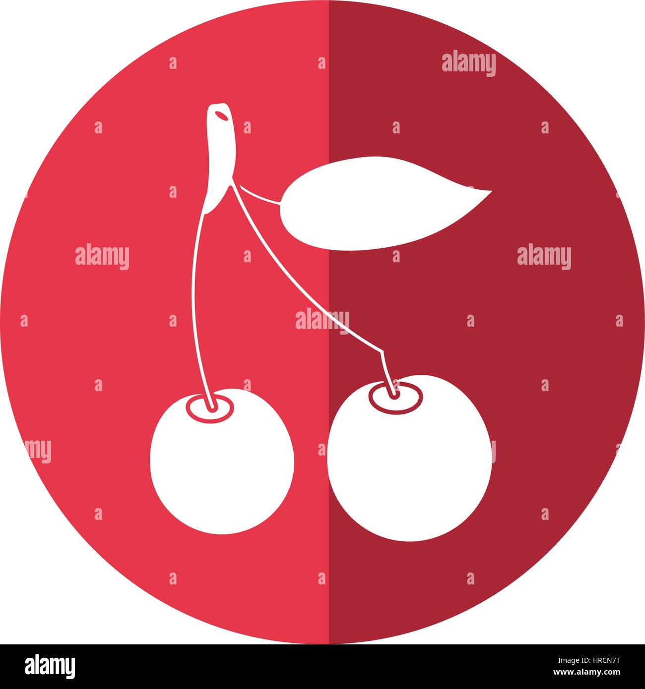 cherry berry nutrition icon shadow Stock Vector Image & Art Alamy
